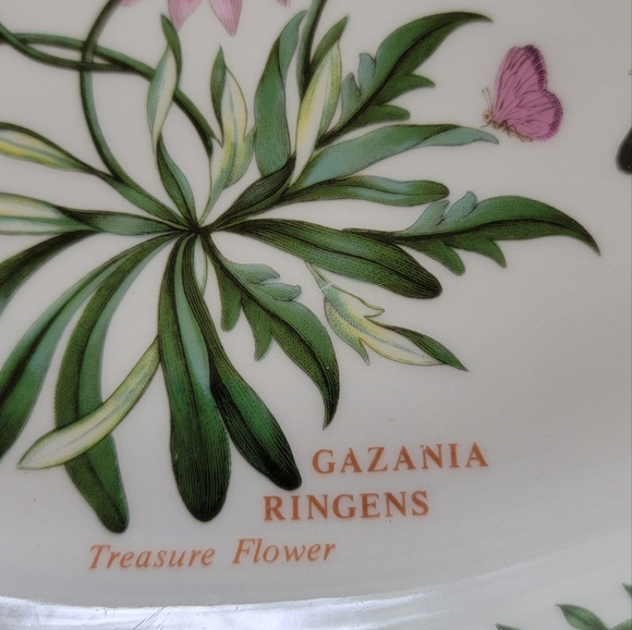 Portmeirion Botanic Garden Oval Steak Platter - Picture 3 of 7